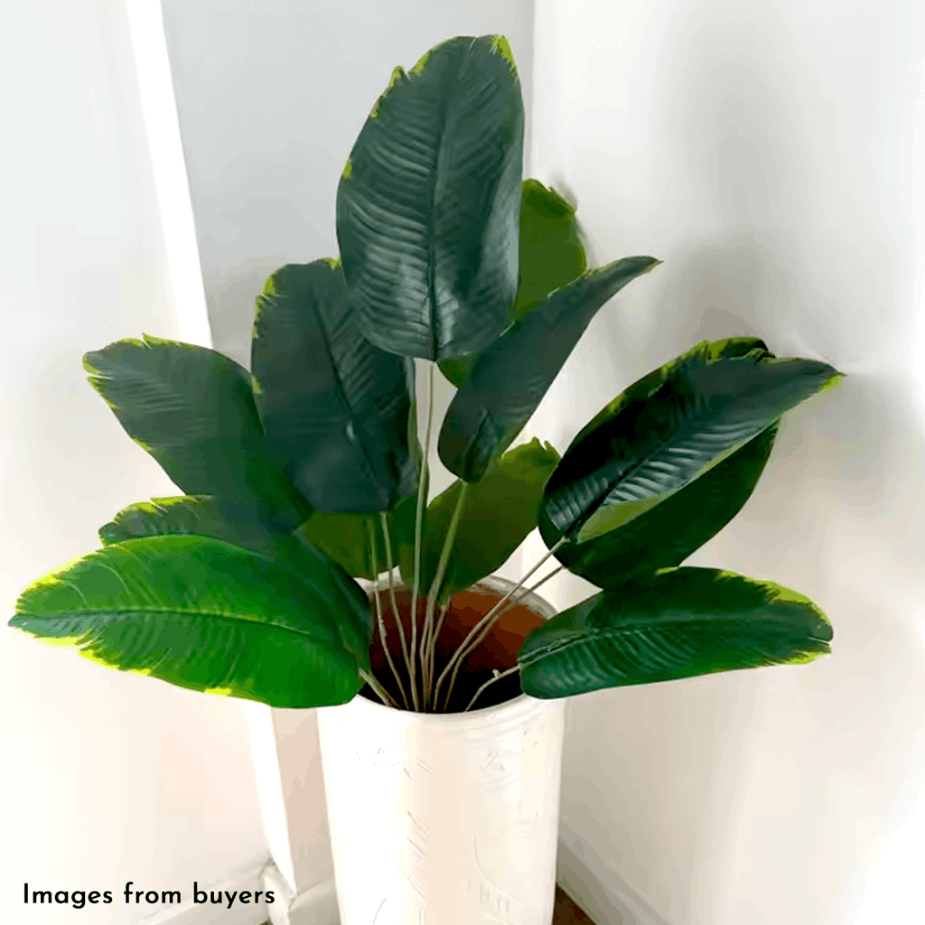 Artificial Tropical Banana Plant - Indoor Plants