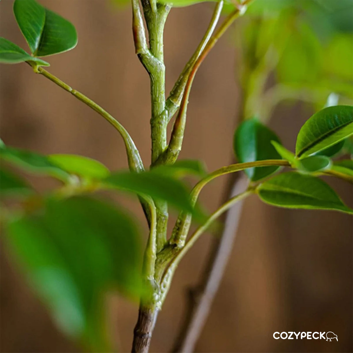 Artificial Ficus Tree Branch - Indoor Plants