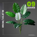 Artificial Tropical Banana Plant - Indoor Plants